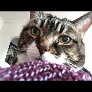 Meet your Posher, Sarah-anne